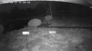 Камера наблюдения на даче, необычное явление. #камера #дача#необычное