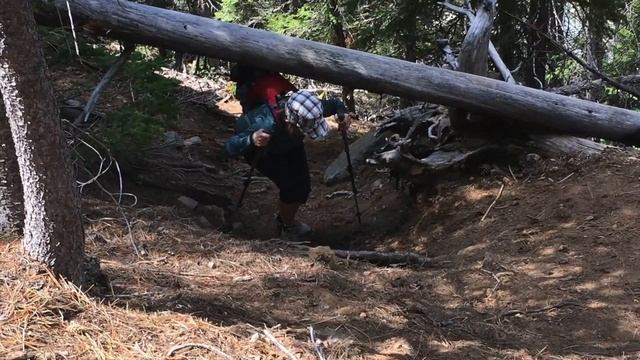 Hiking Whychus Creek & Chush Falls смотреть онлайн