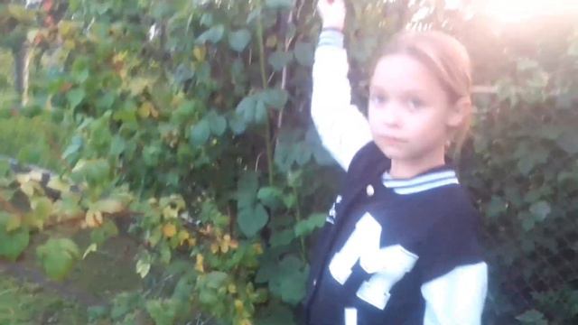 TOP 5 ЯГОД И ФРУКТОВ КОТОРЫЕ МОЖНО НАЙТИ ЛЕТОМ 1 ЧАСТЬ смотреть онлайн