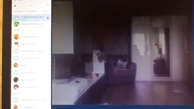 тверк школьницы смотреть онлайн