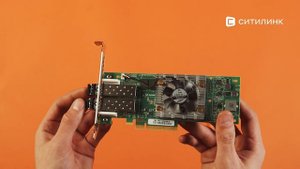 Обзор контроллера Qlogic QLE2672-CK 16Gb Dual Port FC HBA x8 PCIe LC multi-mode optic | Ситилинк