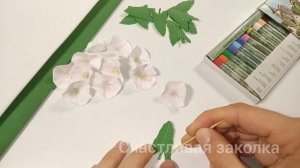 Полевой вьюнок из фоамирана. Ободок из фоамирана.