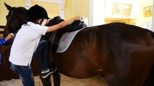 Развлечения для детей - подружка Света в конном клубе