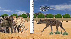 African Animals Size Comparison in 2022 | African Animals video For Kids 2022 | AFRICAN ANIMALS