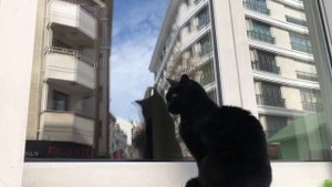 Самый модный район Стамбула - Кадыкёй