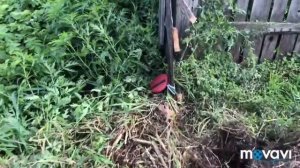 Первые шаги по замене забора для Скота .