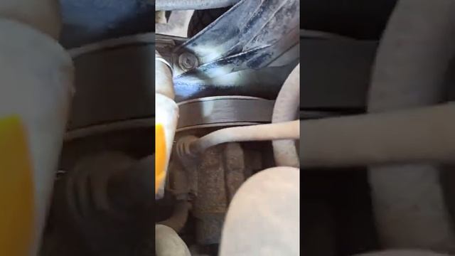 расположение vin номера Chevrolet Lachette смотреть онлайн