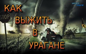Как выжить во время урагана