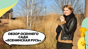Обзор сада осенью в Константиново | Сад в природном стиле | Боярышник | Злаки | Ольха | Шиповник