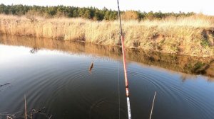 Обзор спиннинга Lucky John Vanrex Finesse Game