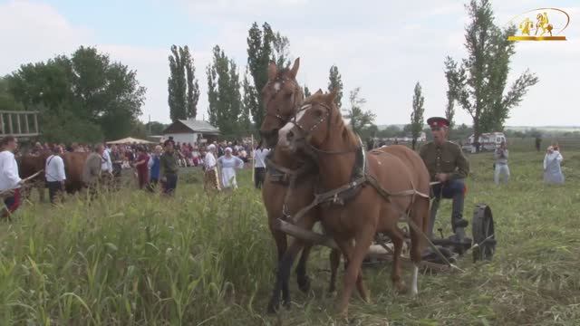 С Мелеховыми на сенокосе	. 2013