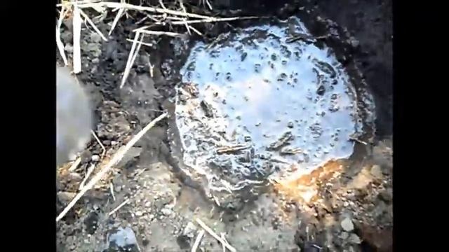 Секреты посадки георгин