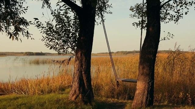 Тест подсказка: что вы испытываете на данный момент?