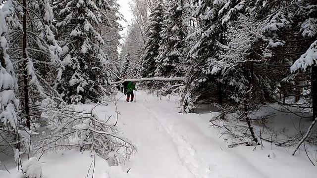 2021 01 06 Поход в Сочельник 16 км смотреть онлайн