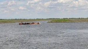 село Новинка Володаровский район