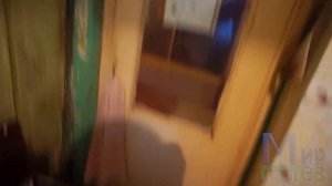 Тараканы хозяева квартиры. Обработка МирДез (2021г) 20