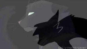 Клип Коты Воители "Angel of Darkness|Ангел Тьмы" Остролистая|CW Hollyleaf|√🖤Black Cat𓃠√