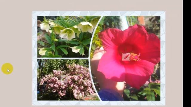 Коллаж онлайн| Фотография коллаж| Коллаж бесплатно| Надежда Федорова| Рукодельницам. смотреть онлайн