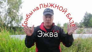 Эжвинская Лыжная База. # грибы и тропы