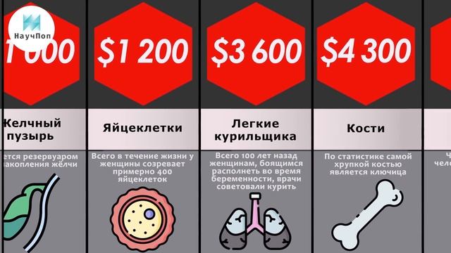 Сравнение цен: Человеческие органы