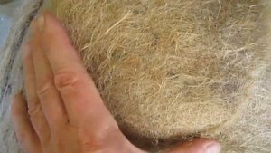 Хороший натуральный межвенцовый утеплитель мох