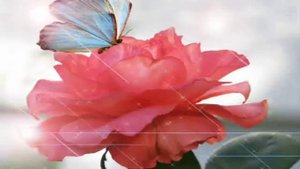 С Майкапар Мотылёк слайды