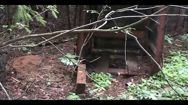 В лесу.avi смотреть онлайн