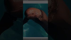 Калифорнийская морская свинья - ВАКИТА . Исчезающий вид