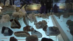 Часть 2 НОЧЬ МУЗЕЕВ 2017 В СТАВРОПОЛЕ Смотрим скелет ЮЖНОГО СЛОНА выставку бабочек и пород #Алиса