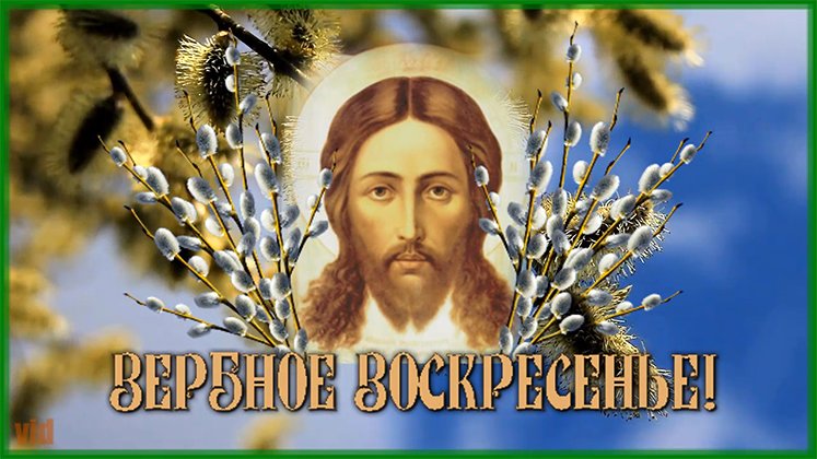 Вербное Воскресение!