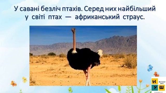 Урок 43-45 Рослинний і тваринний світ Африки 4 клас  .  підручник Жаркова
