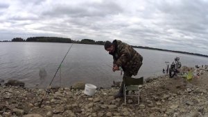 Рыбалка у АЭС Удомля. Дубль 2. Сомики и подлещик не дают скучать.