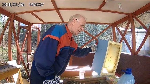 Пчеловодство. Зимовка в улье ППУ и дезинфекция. смотреть онлайн