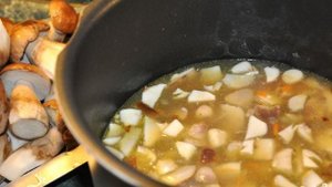 Грибовница