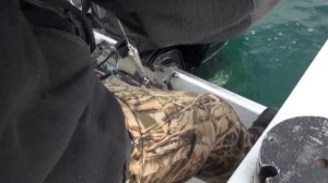 Рыбалка на Камчатке видео - ловля трески