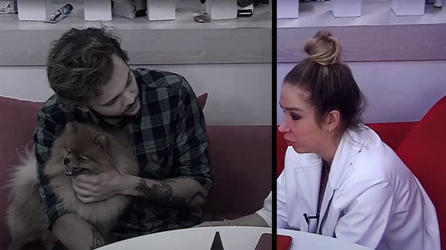 Чистов расстался с Ермаковой смотреть онлайн