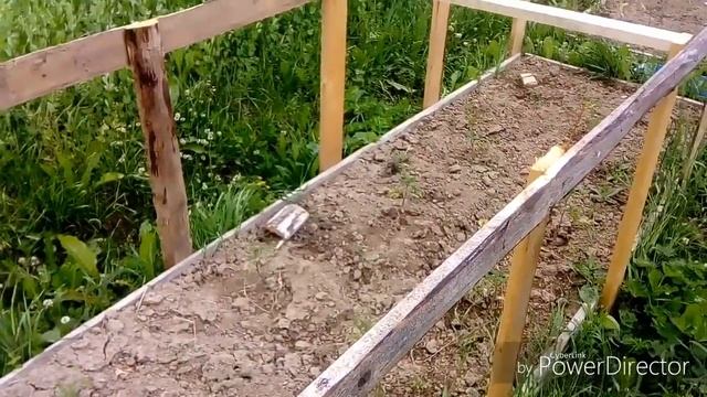 Китайский парник для томатов!
