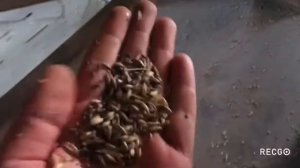 Кузембетьевский РМЗ. УЗМ 30/15 и ПСМ 10