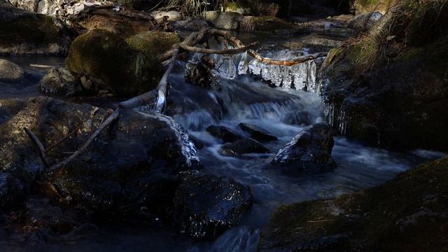 Приморский край - Вблизи водопада Неожиданный [Звуки природы, для сна, расслабления] смотреть онлайн