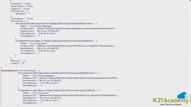 Docker Networking | Docker Bridge Network | Docker Tutorial For Beginners | K21Academy