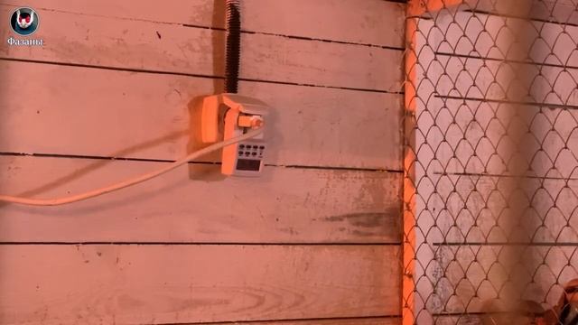 Свет и вентиляция в курятнике. Light and ventilation in the chicken coop. смотреть онлайн