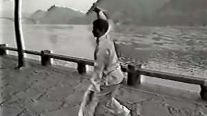 Тяньчжушань Яншэнгун Лю Шаобин