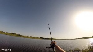 Ловля белого амура и карпа, carpfishing