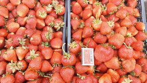 Клубника Сирия + Первая выборка 2019 год.#клубникасирия #свояклубника