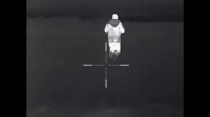 Охота на шакала. Шакал стал осторожничать