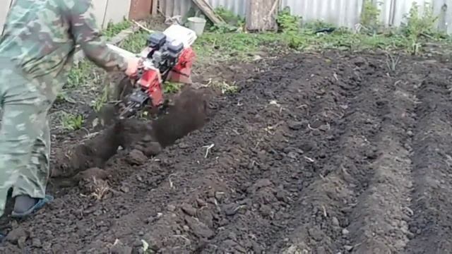 Пахота Мотоблоком Весна 2019