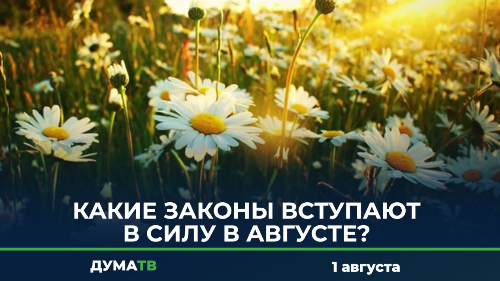 Какие законы вступают в силу в августе?