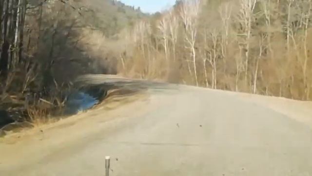 Путь на родину)). Дорога, перевалы Приморский Край. смотреть онлайн