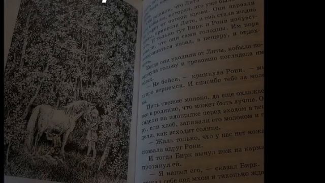 Астрид Линдгрен. Рони, дочь разбойника. Продолжение 4. 10+ смотреть онлайн