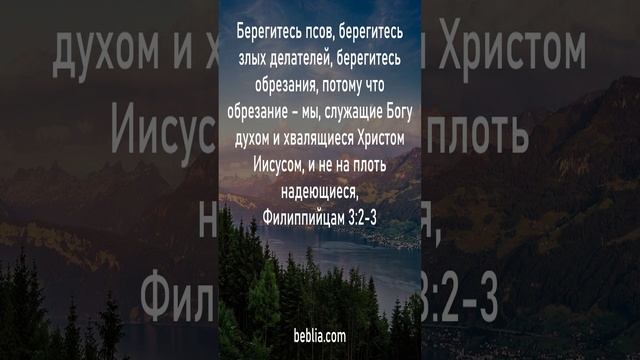 Филиппийцам 3:2-3 - Священный Библейский Стихи #Библия #Бог #Иисус #церковь [Short] смотреть онлайн